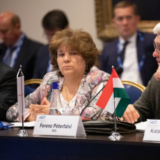 The eleventh meeting of the Management Board of International Association of Oil Transporters took place in Saint-Petersburg, June 18-20, 2019